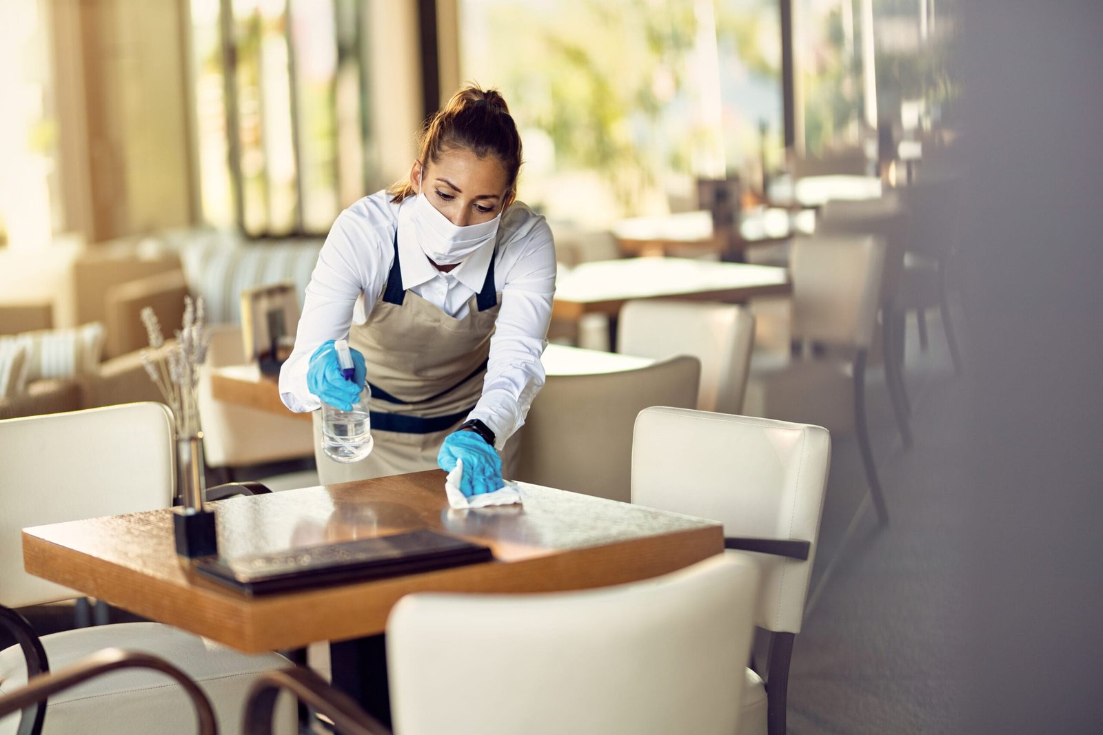 Marin county cleaning services
